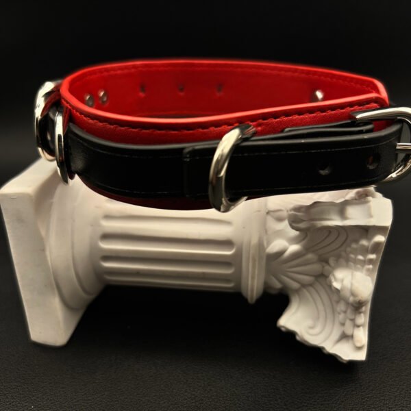 Handmade Custom Leather Choker for Desire - 图片 3